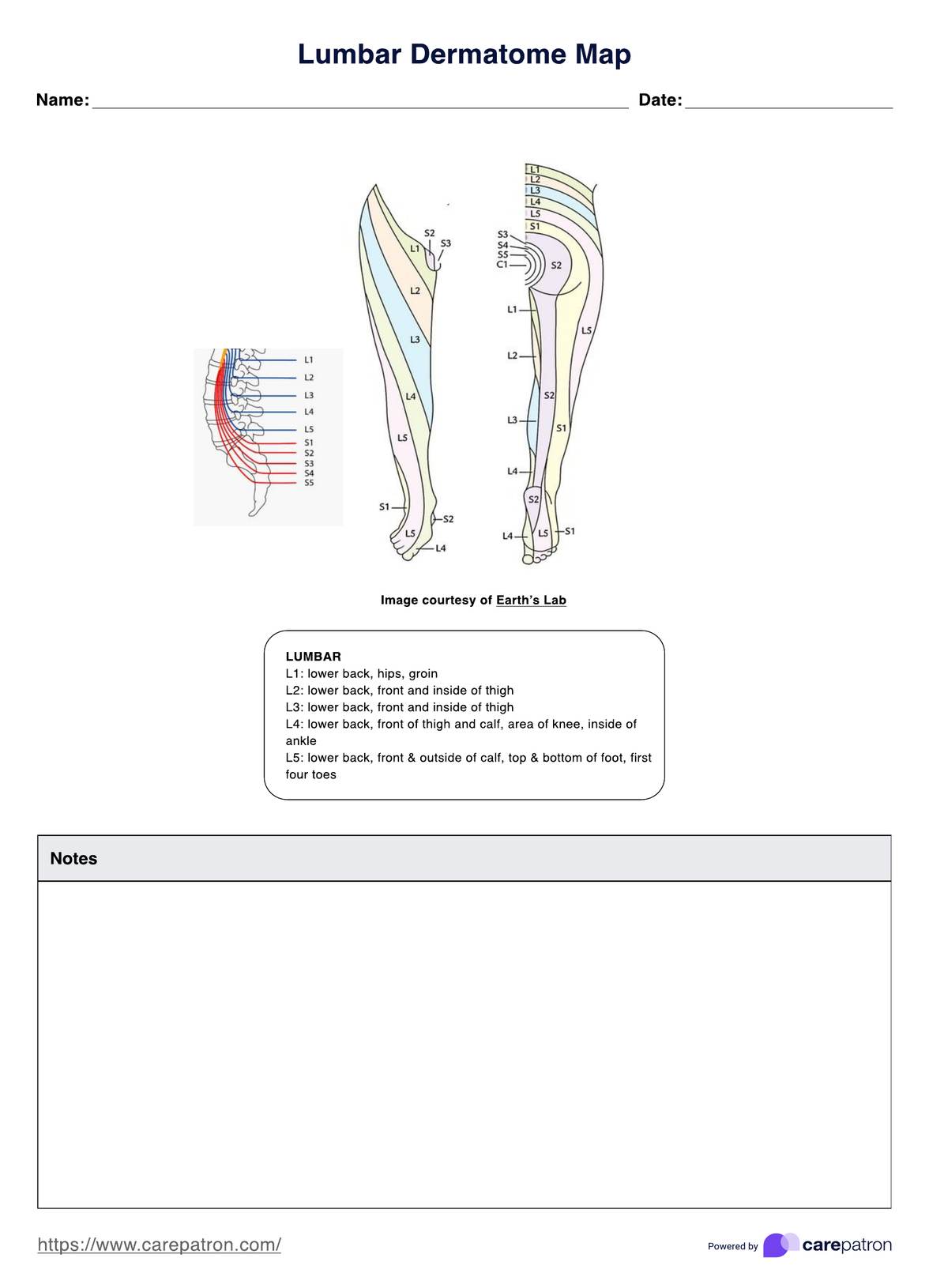 Lumbar Dermatome Map PDF Example