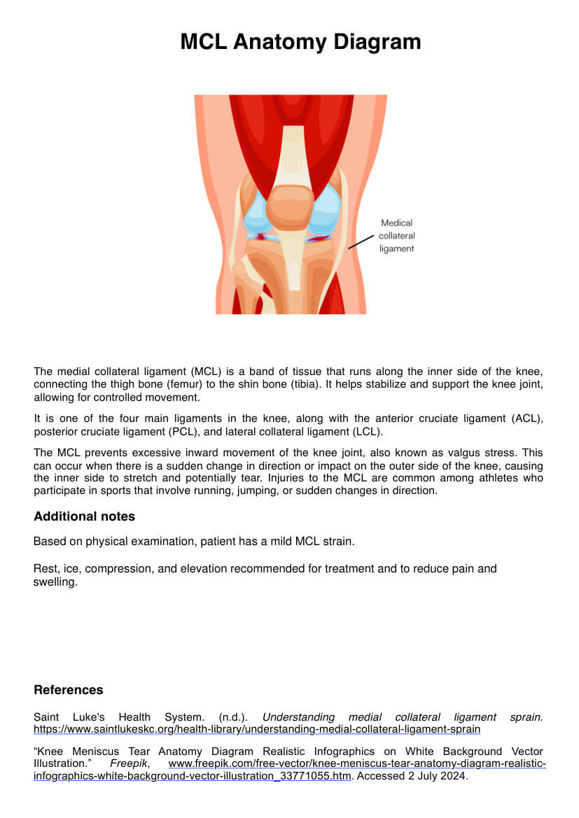 Diagrama de anatomía del MCL PDF Example