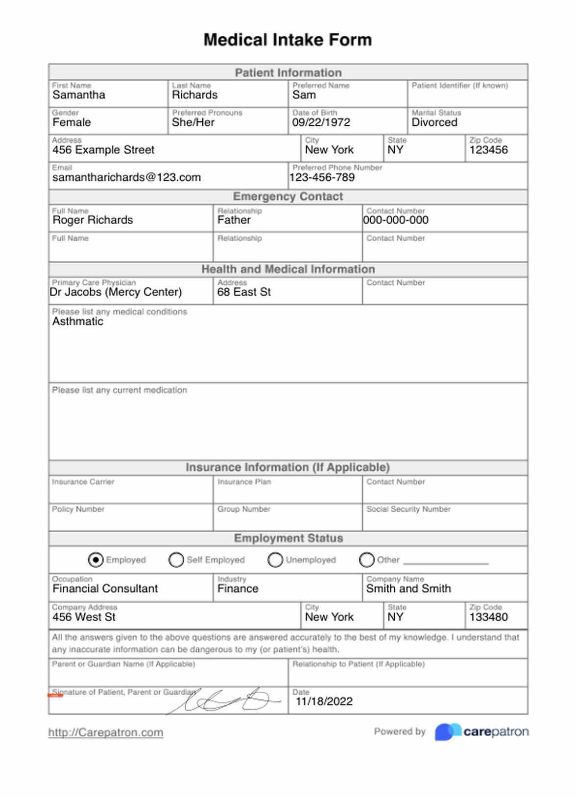 Medical Intake Form PDF Example