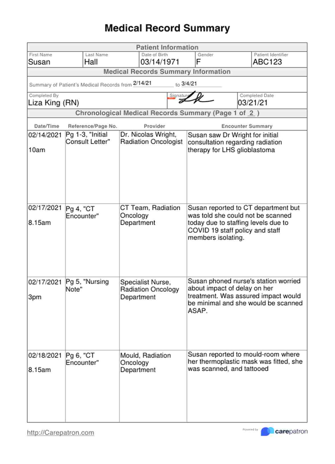 Medical Record Summary PDF Example
