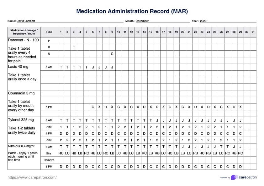 Registro de Administração de Medicamentos (MAR) PDF Example