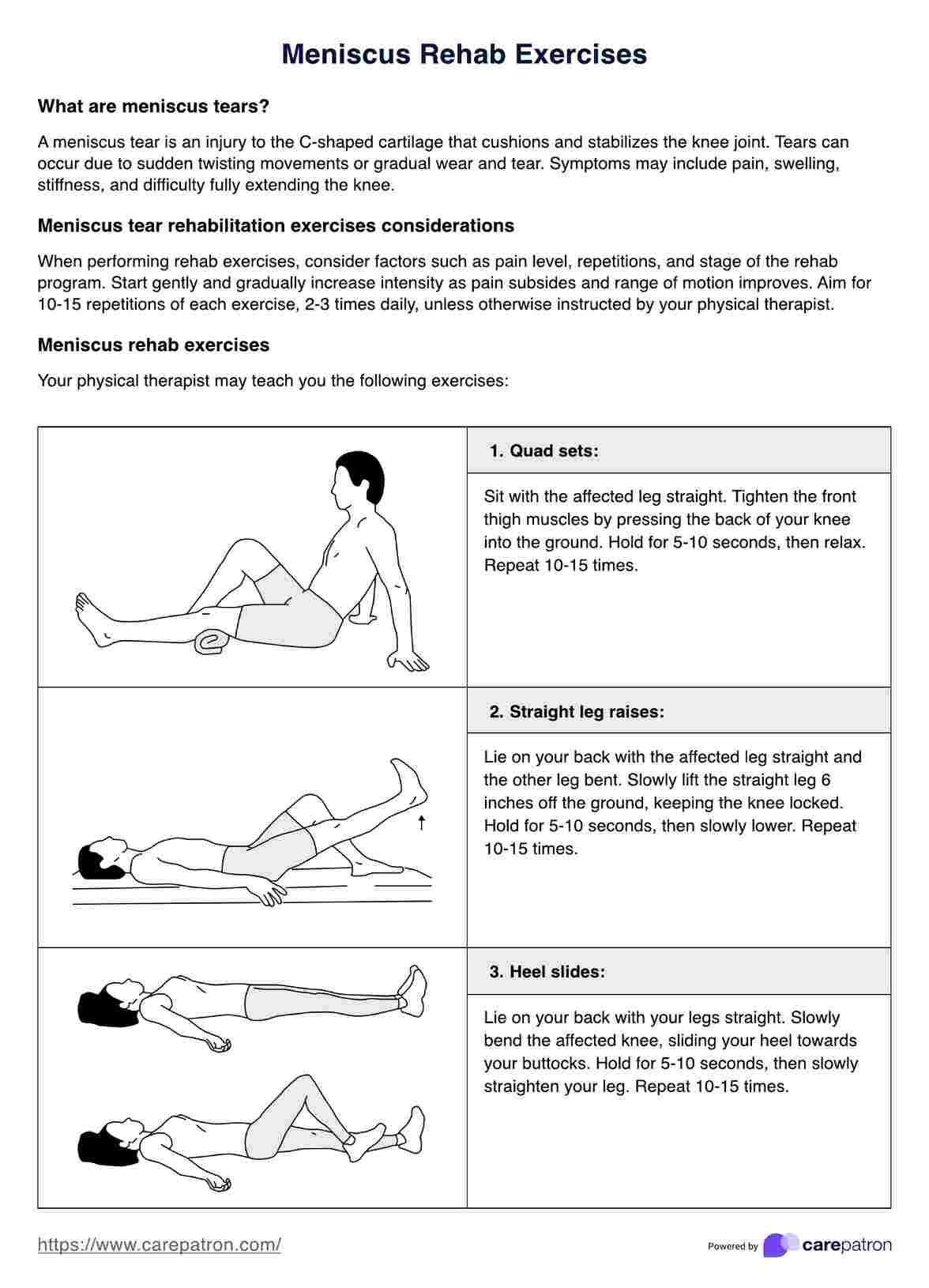 Folleto de ejercicios de rehabilitación de meniscos PDF Example