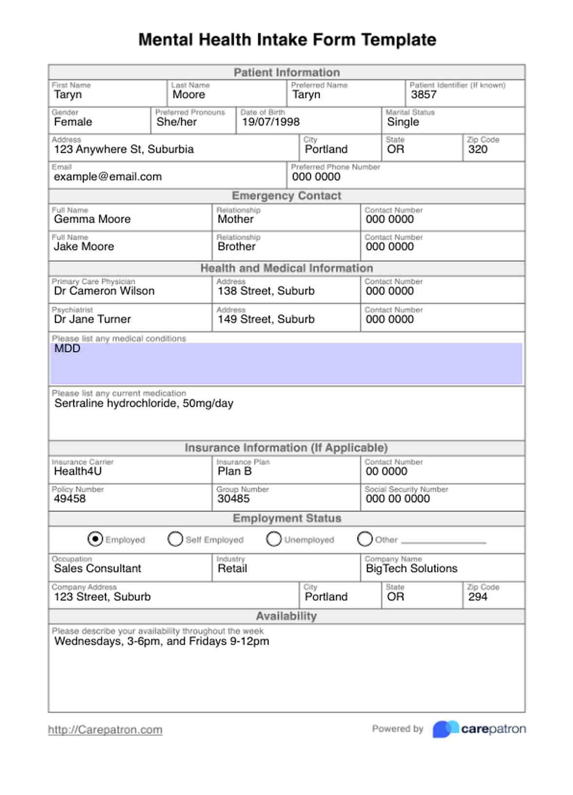 Mental Health Intake Form PDF Example