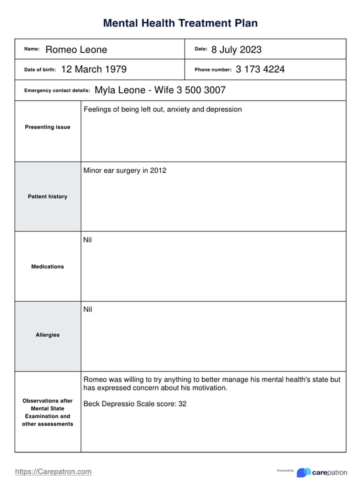 Mental Health Treatment Plans PDF Example