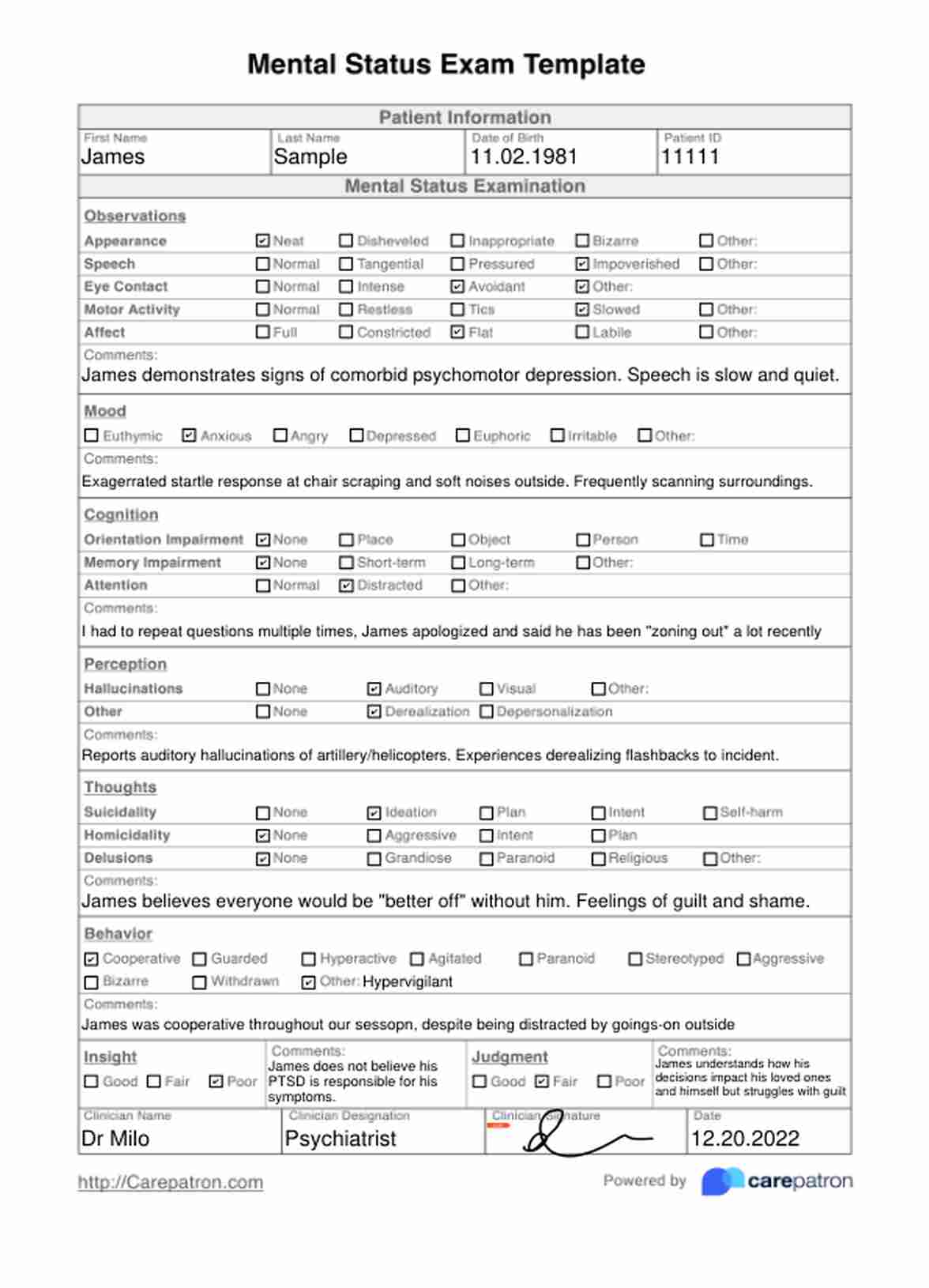 Mental Status Exam Template PDF Example