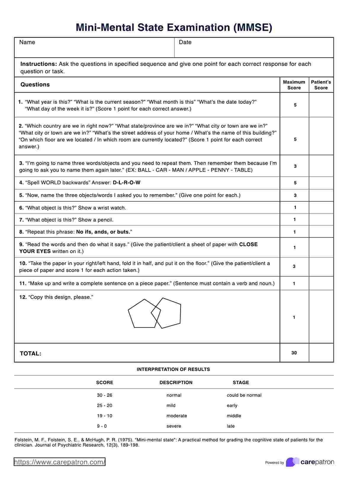 Mini Mental State Examinations PDF Example