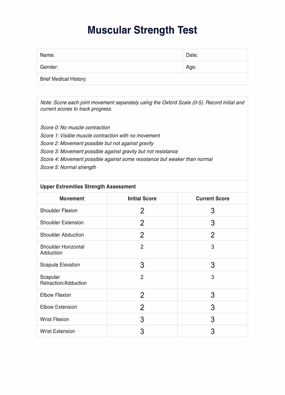 Muscular Strength Test PDF Example