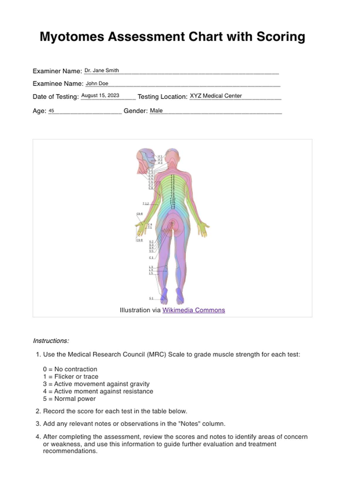 Myotomes Chart PDF Example