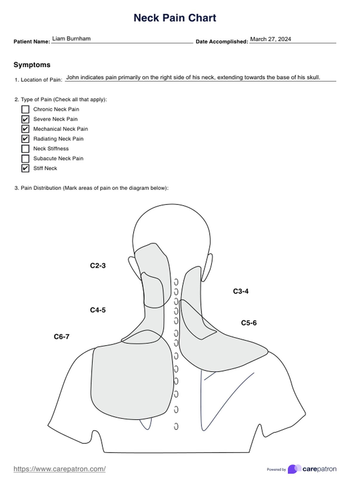 Neck Pain Chart PDF Example