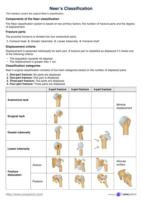 Neer's Classification PDF Example