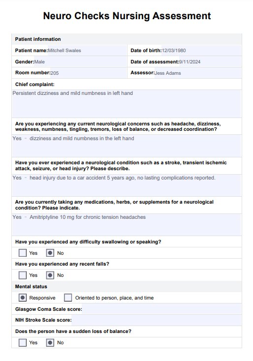 Neuro Checks Nursing PDF Example