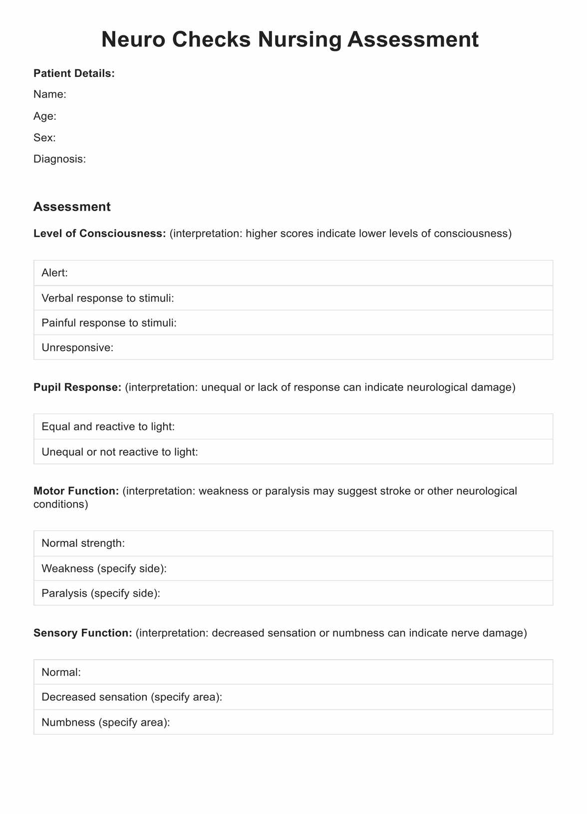 Neuro Checks Nursing PDF Example