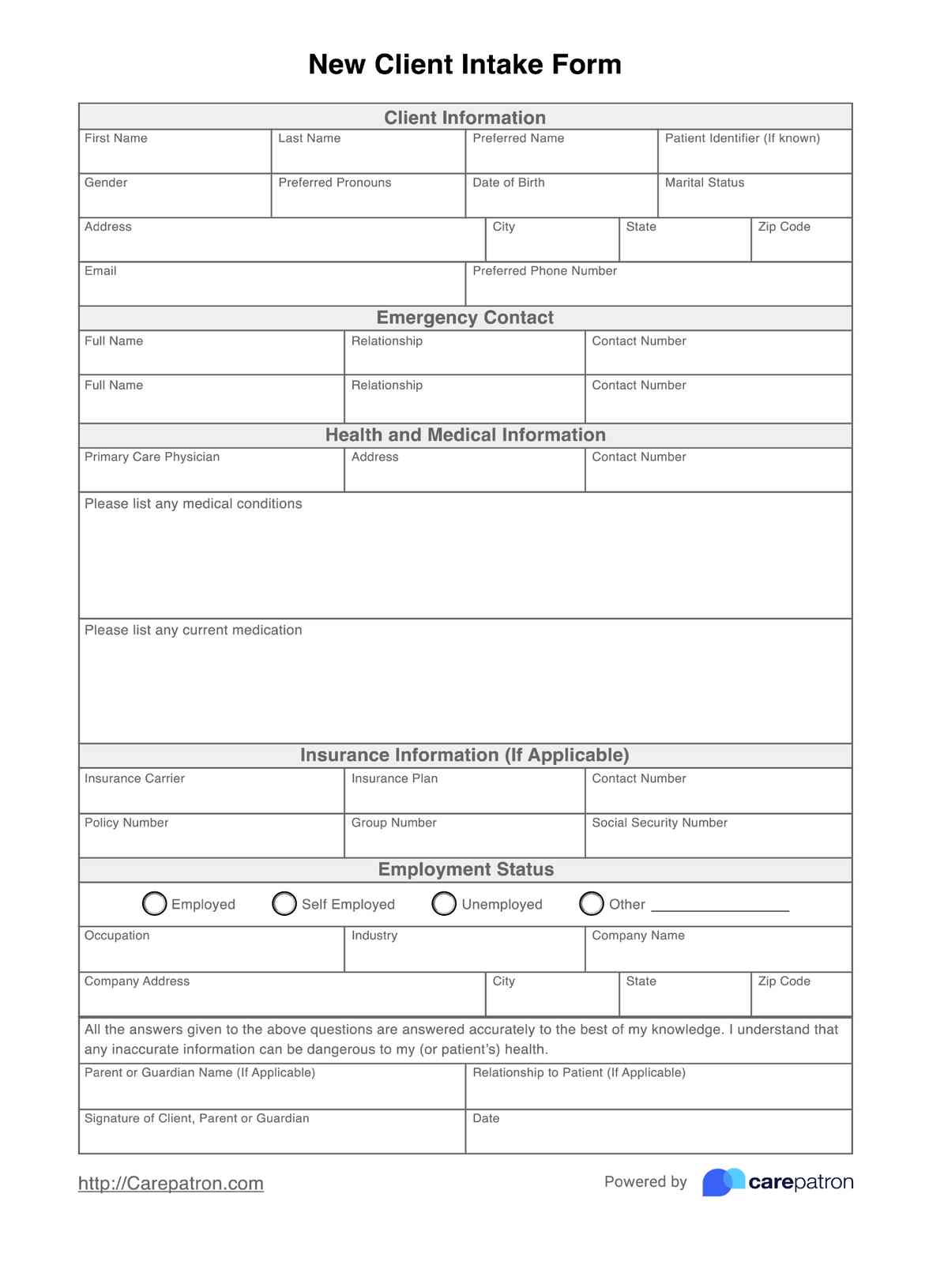 New Client Intake Form PDF Example