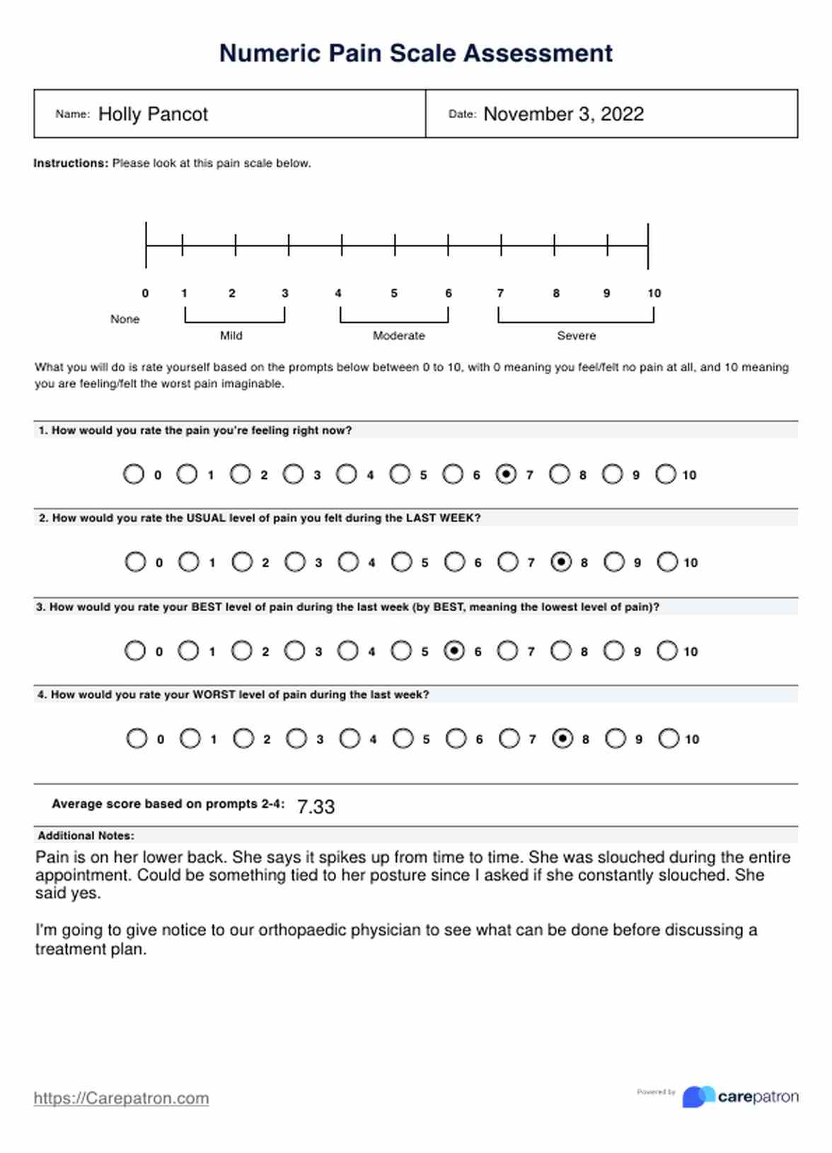 Numeric Pain Rating Scale PDF Example