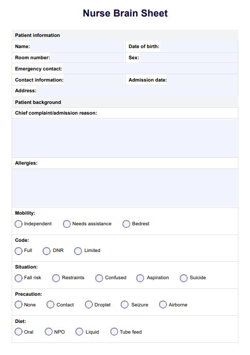 Nurse Brain Sheet PDF Example