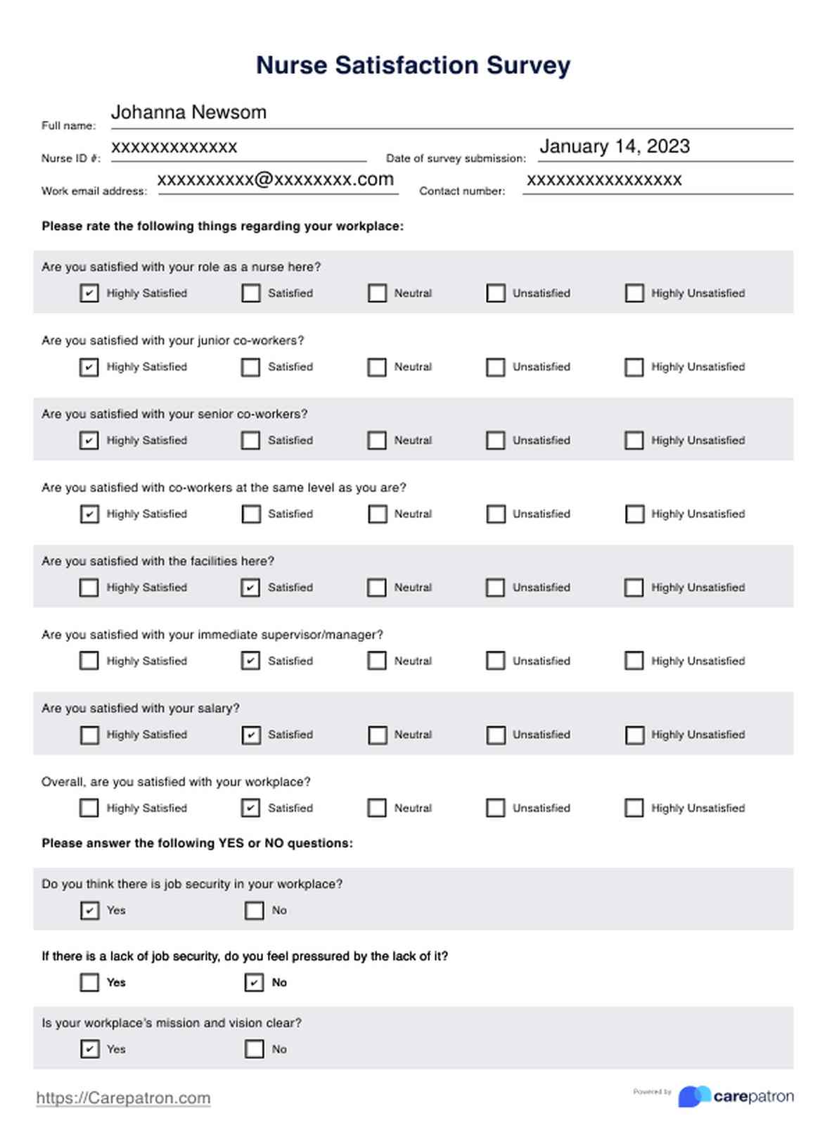 Nurse Satisfaction Survey PDF Example
