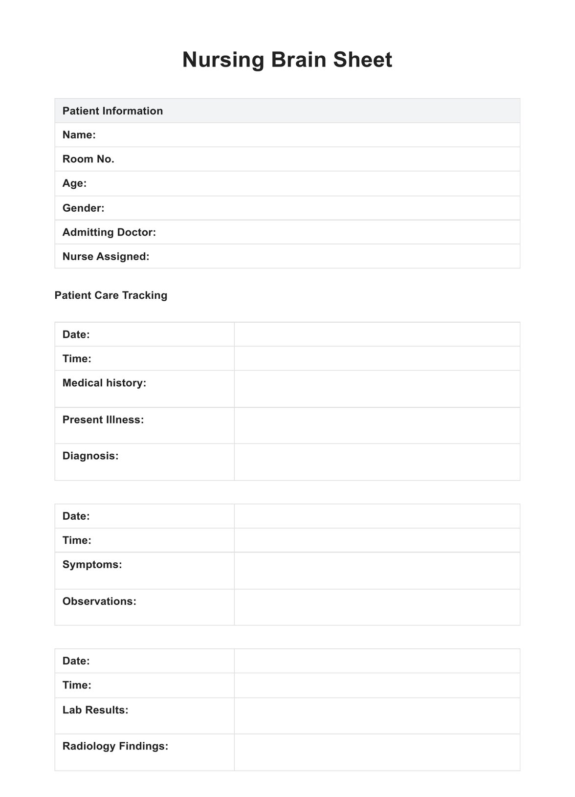 Nursing Brain Sheet PDF Example