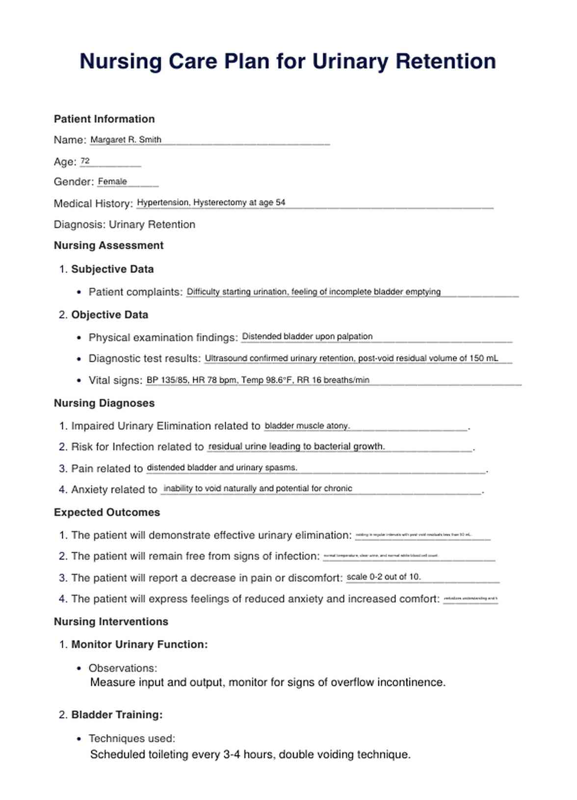  Urinary Retention Nursing Care Plan PDF Example