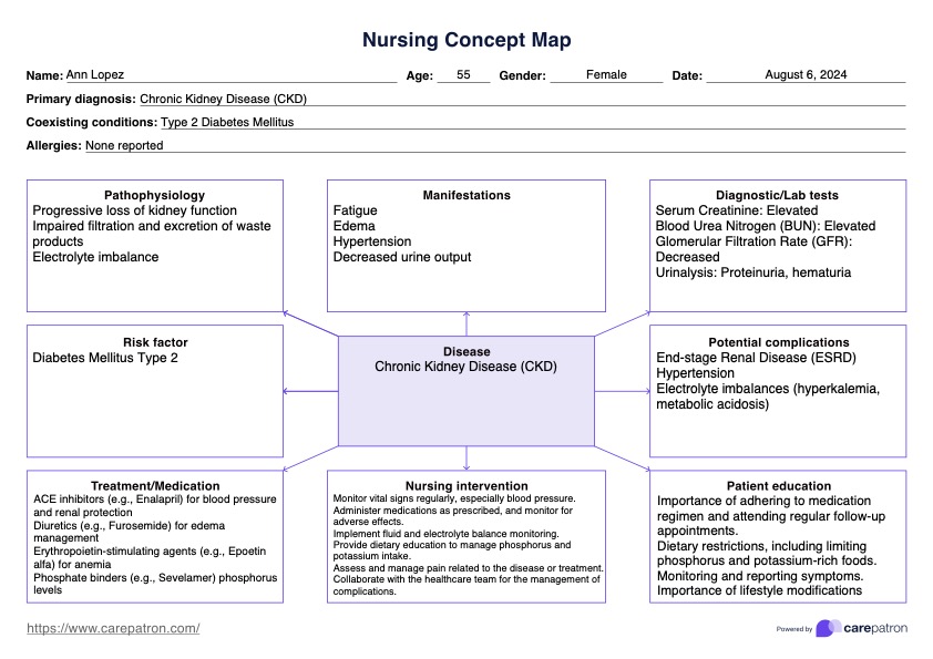 Nursing Concept Map Template PDF Example