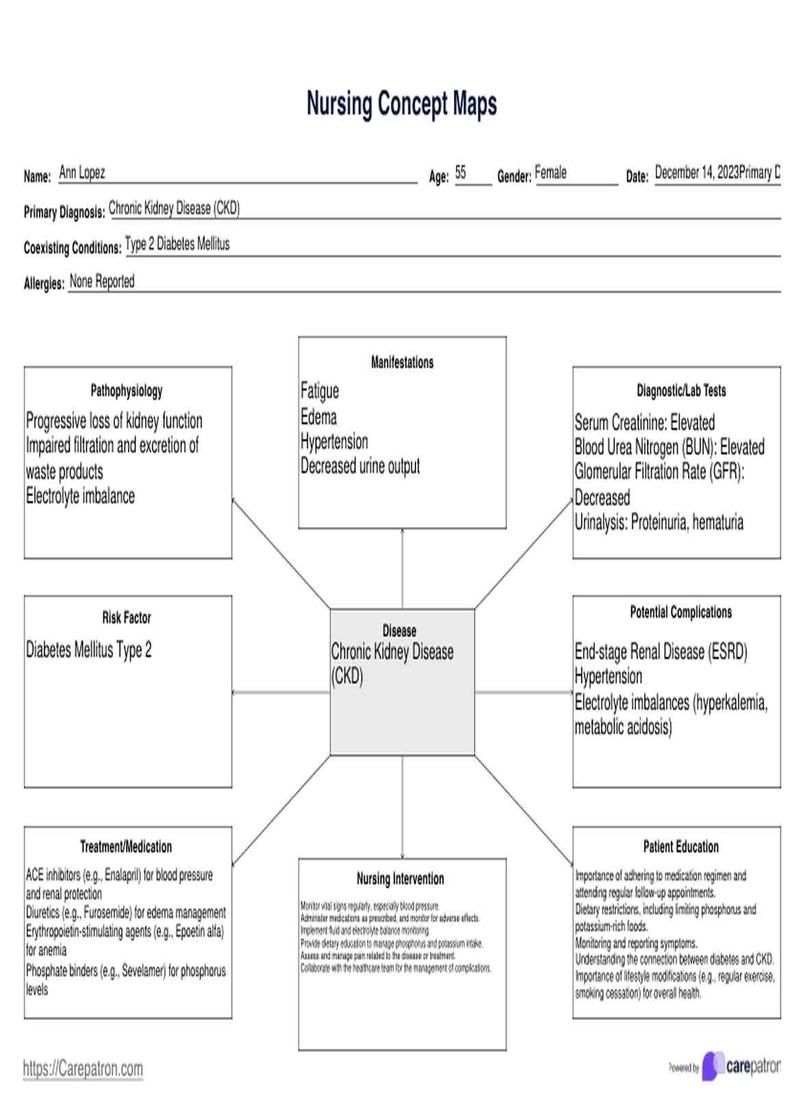 قالب خريطة مفهوم التمريض PDF Example