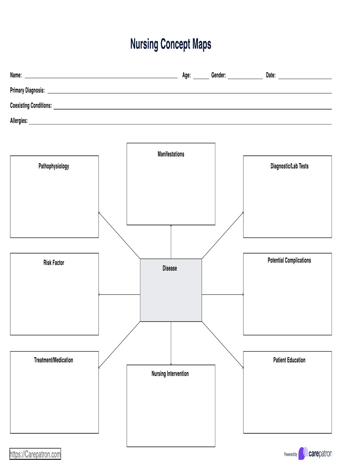Nursing Concept Map Template PDF Example