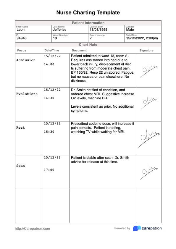 Plantilla de notas para enfermeria PDF Example