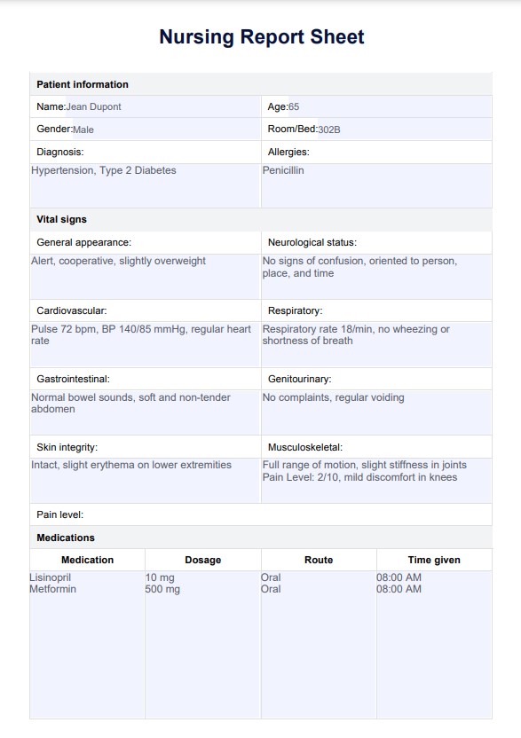 Sykepleierapportark PDF Example