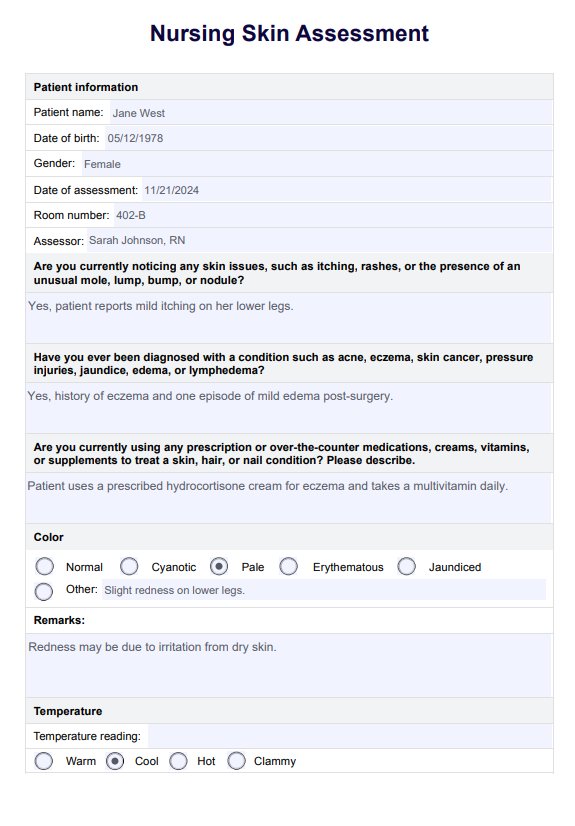 Nursing Skin Assessment PDF Example