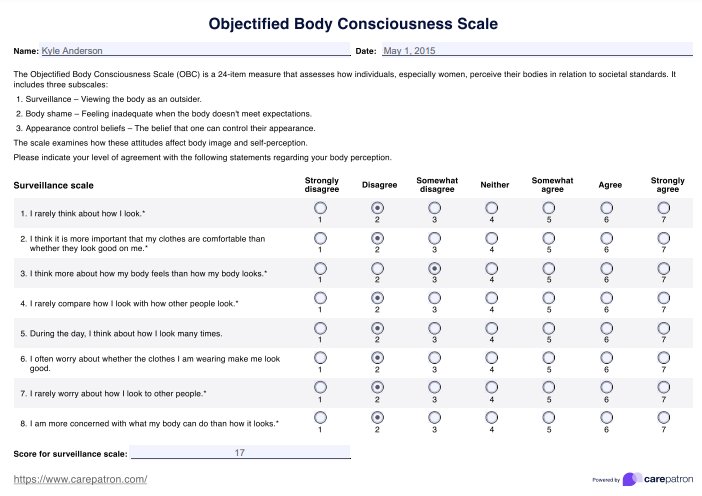 Objectified Body Consciousness Scale PDF Example