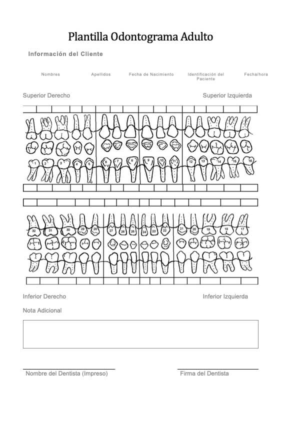 Plantilla de Odontograma para Adulto PDF Example