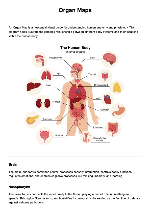 Mapa de órganos PDF Example