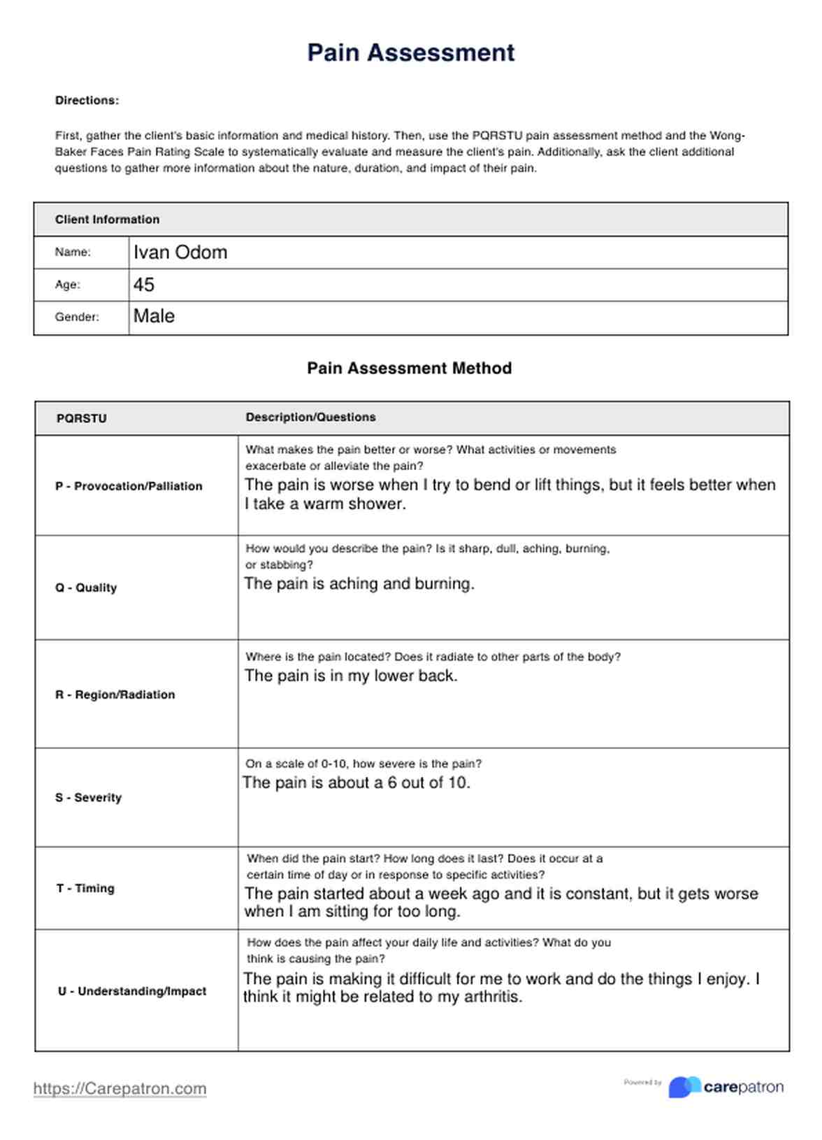 Pain Assessment PDF Example