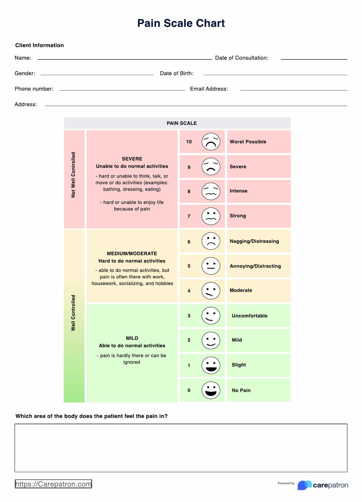 Pain Scale Chart PDF Example