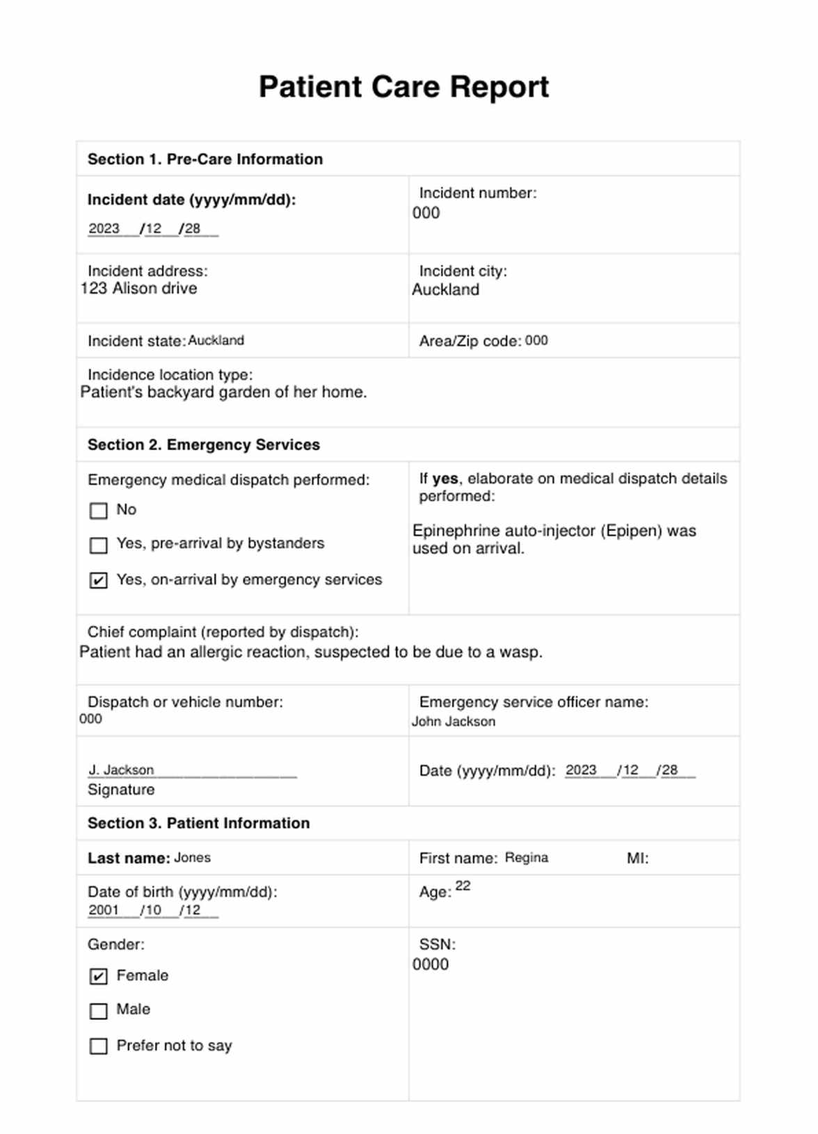 Patient Care Report PDF Example