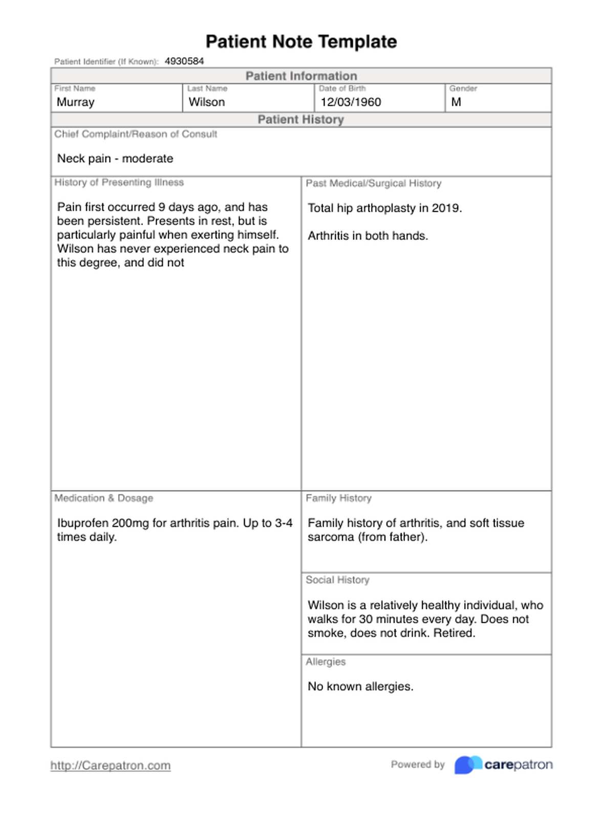 Patient Note Template PDF Example