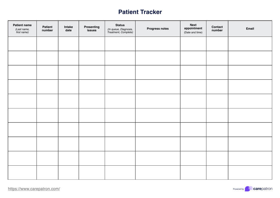 Patient Tracker Template PDF Example