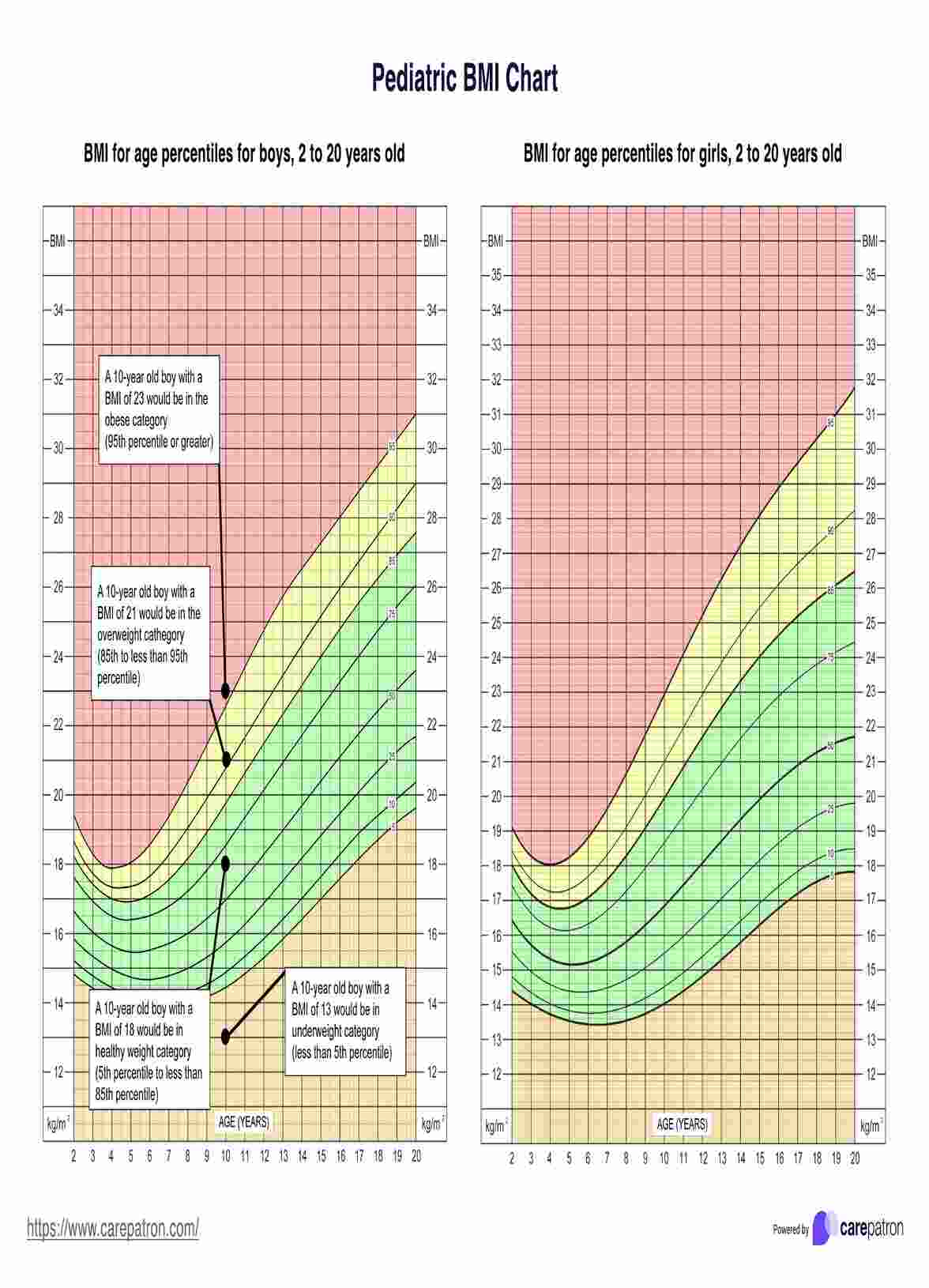 Pediatric BMI Chart PDF Example