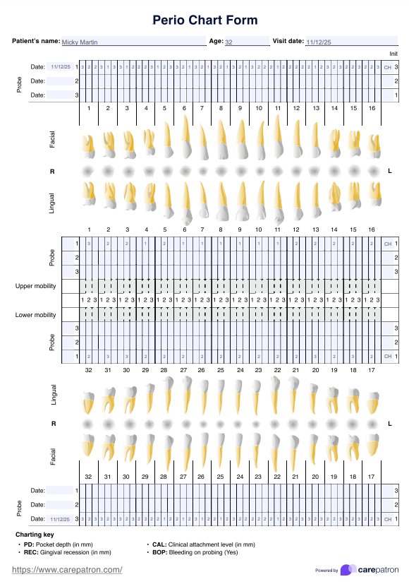 Perio Chart Form PDF Example