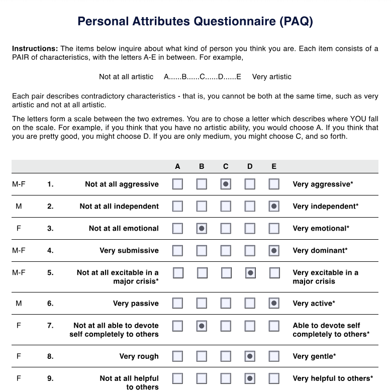Personal Attributes Questionnaire PDF Example