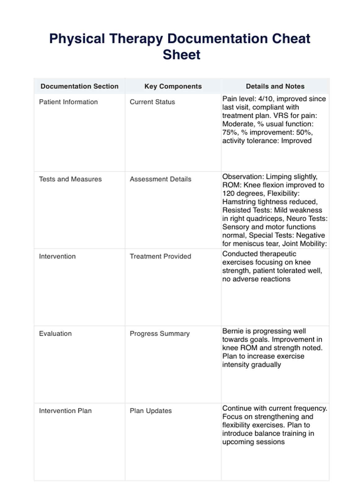 Fuskark för dokumentation för fysioterapi PDF Example