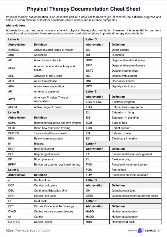 फिजिकल थेरेपी डॉक्यूमेंटेशन चीट शीट PDF Example