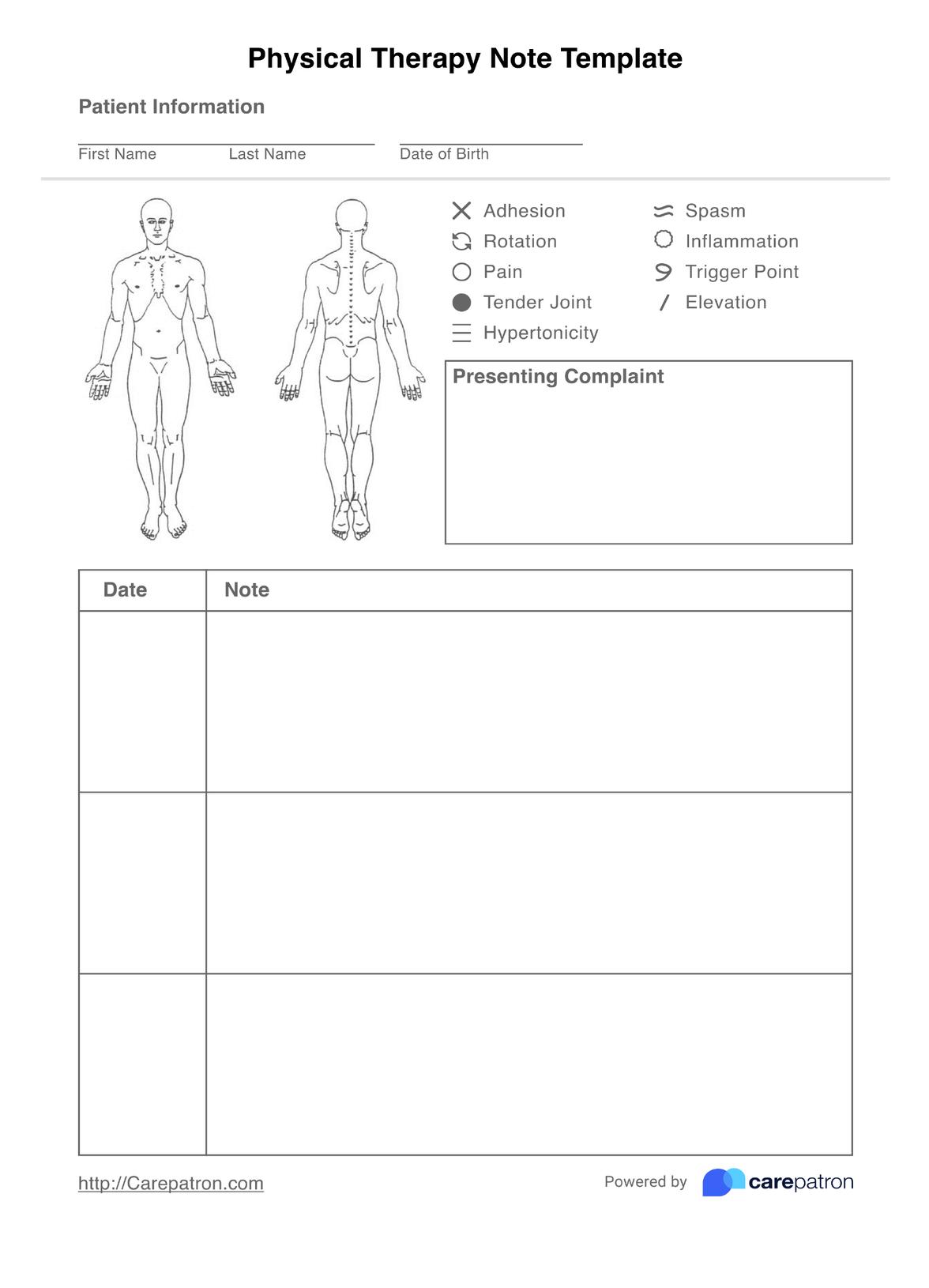 Physical Therapy Note Template PDF Example