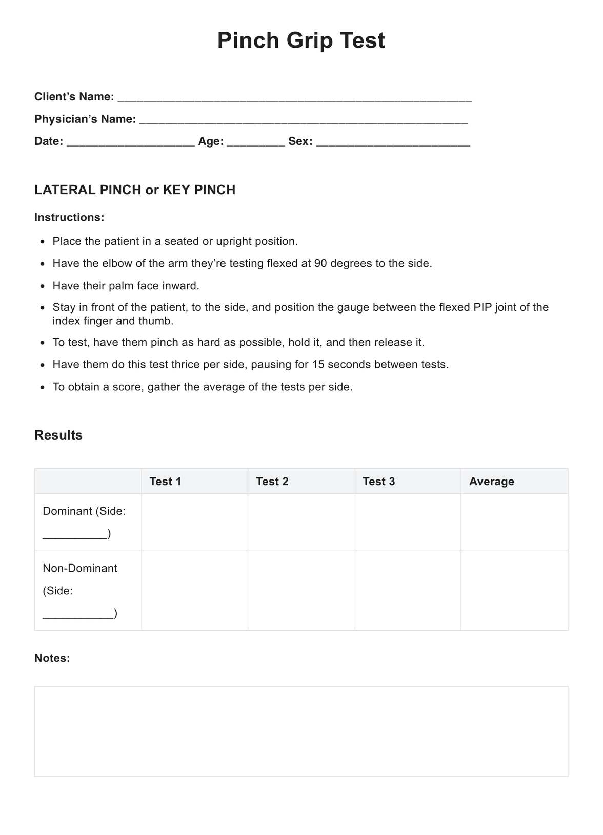 Pinch Grip Test PDF Example