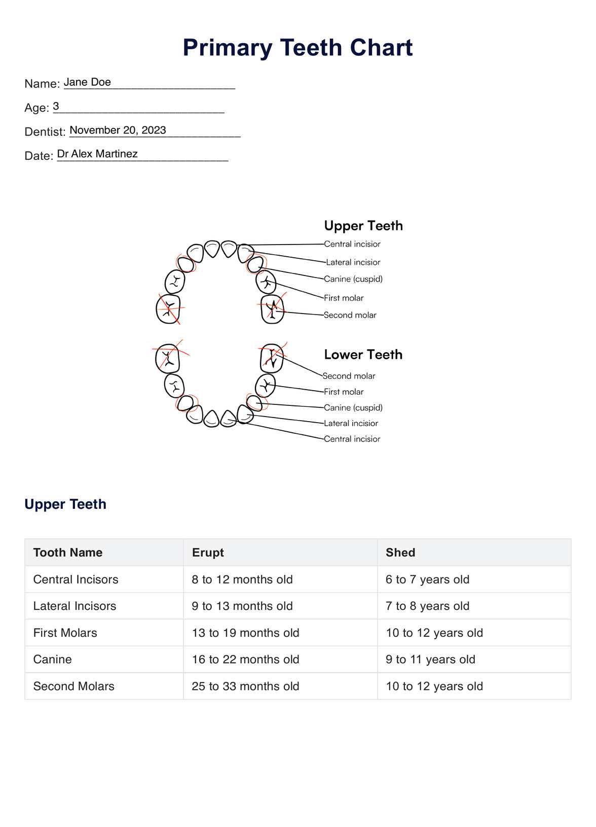 Primary Teeth PDF Example
