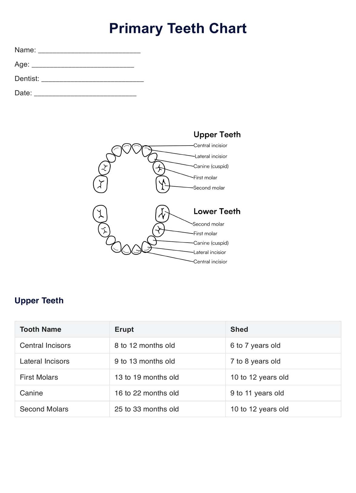 Primary Teeth PDF Example