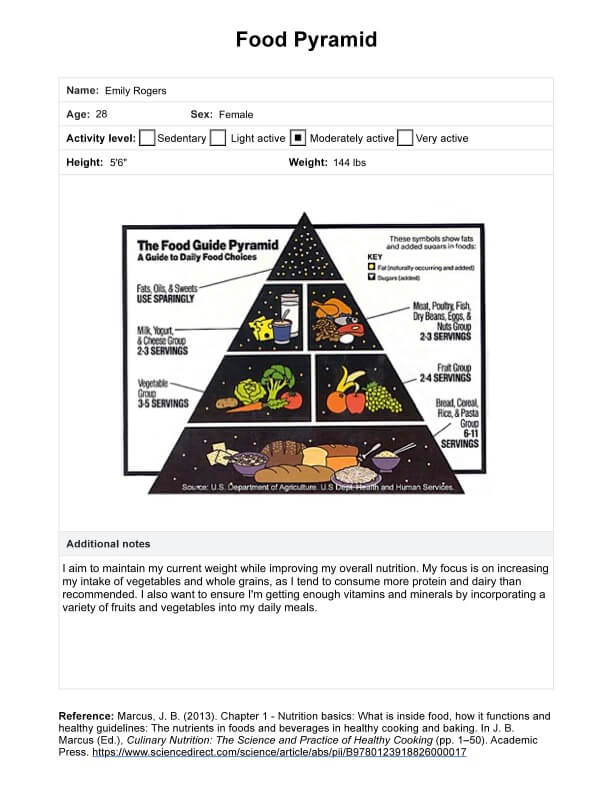 प्रिंट करने योग्य खाद्य पिरामिड PDF Example