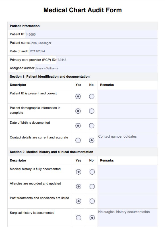 Printable Medical Chart Audit Template PDF Example