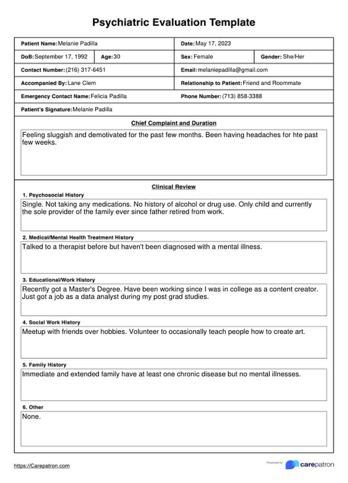 Psychiatric Evaluation Template PDF Example