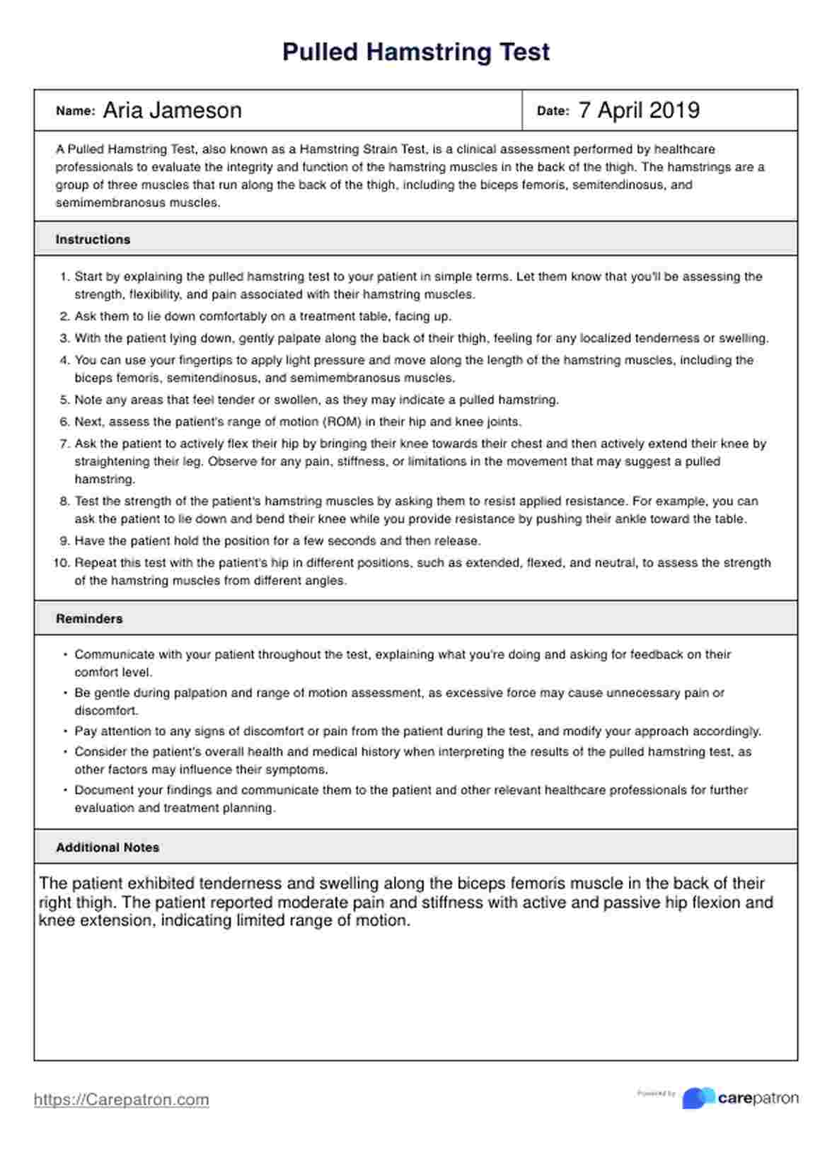 Pulled Hamstring’s Test PDF Example