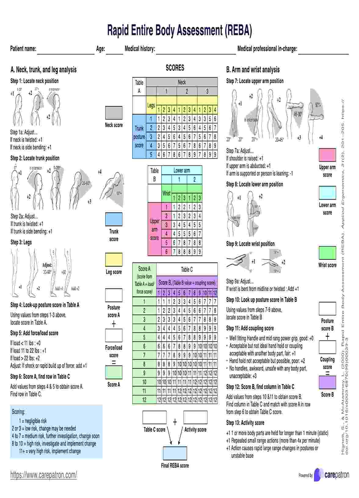 Rapid Entire Body Assessment PDF Example